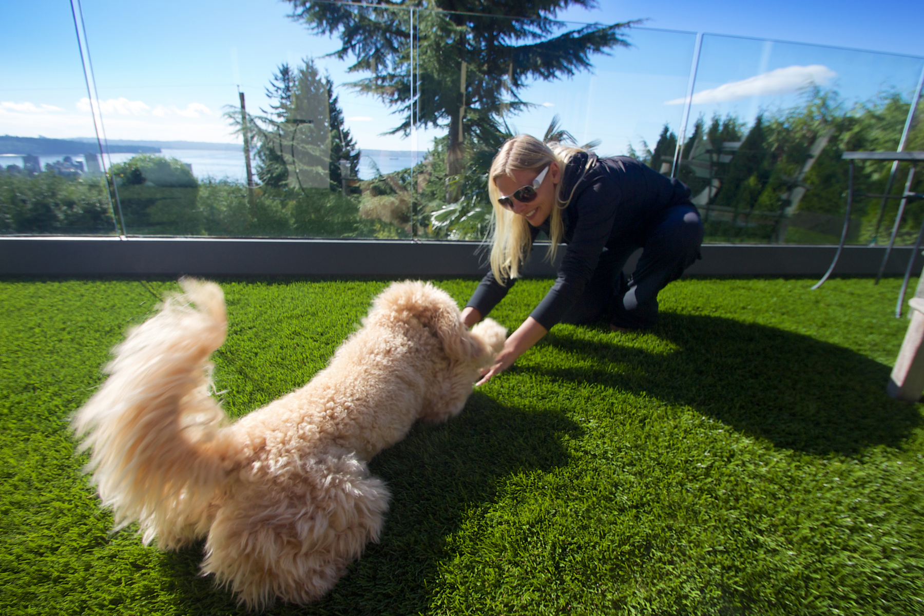SYNLawn, a manufacturer and installer of synthetic landscape grass, shows an example, for residential use, of a dog playing with a woman in British Colombia, Canada.