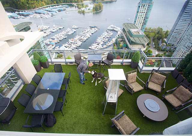 SynLawn Rooftop