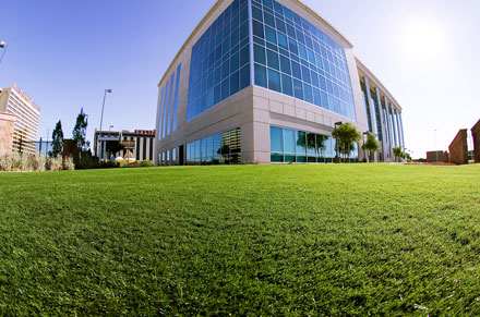 SynLawn-SAC-Commercial-440px-web SynLawn SAC Commercial Application
