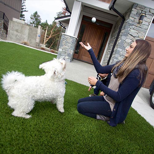Synthetic Lawns