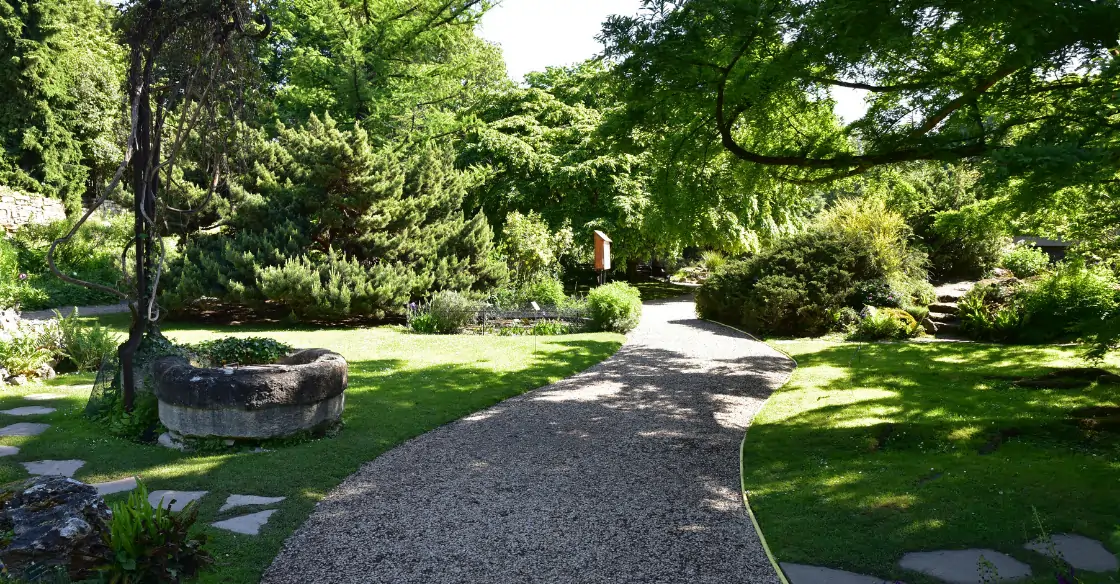 stone pathway in garden