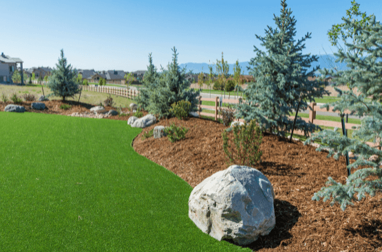 austin-turf-1-smll Residential lawn Austin