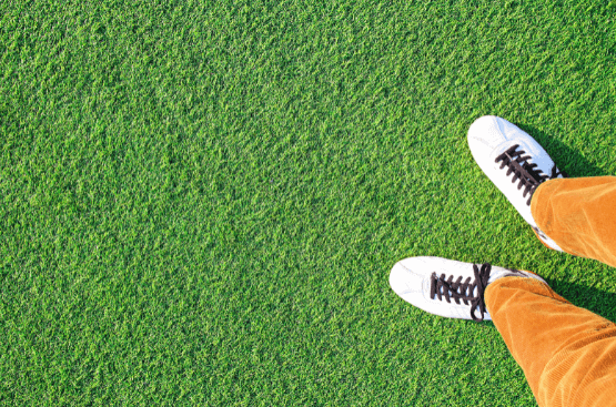 austin-turf-smll commercial turf