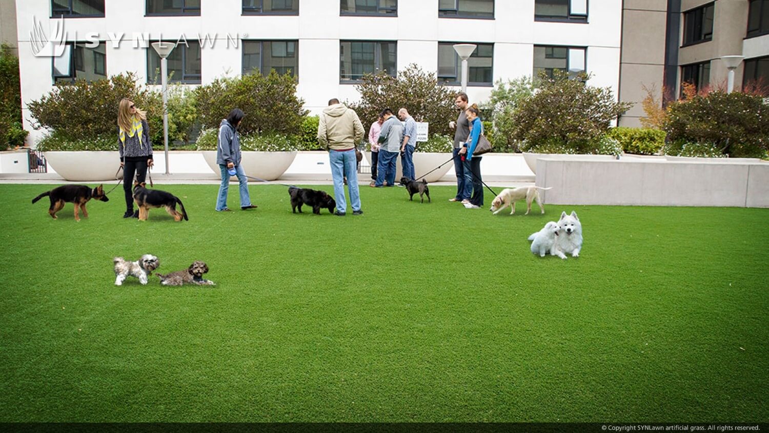 SYNLawn-commercial-artificial-grass-applications-015