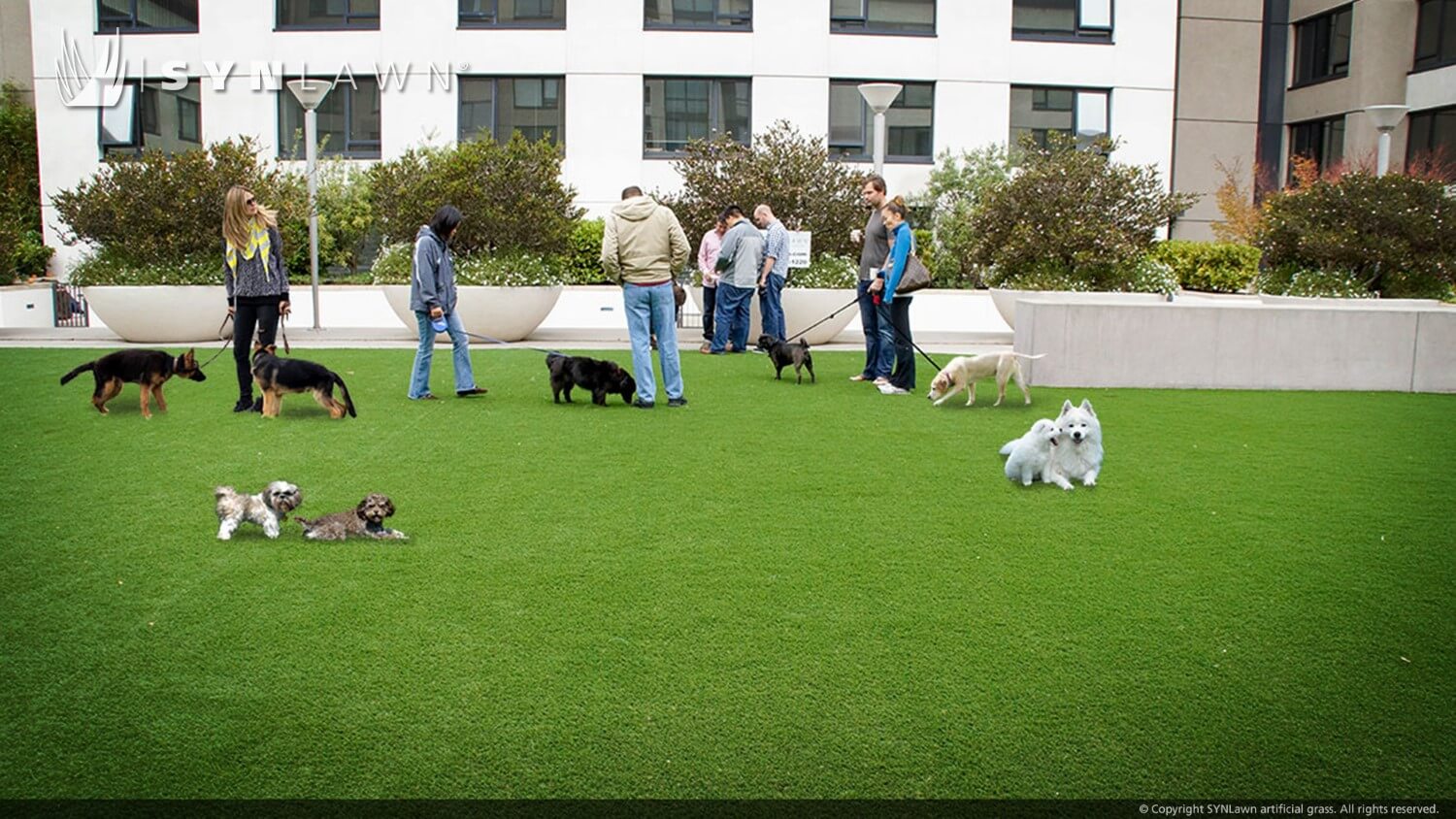 SYNLawn-commercial-artificial-grass-applications-015 SYNLawn-commercial-artificial-grass-applications-015