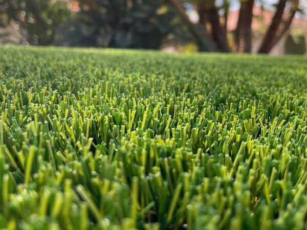 close up shot of residential artificial grass