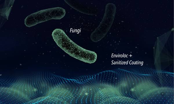 enviroloc-fungi-graphic enviroloc fungi graphic