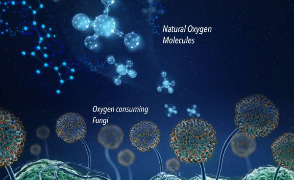 enviroloc-molecule-graphic enviroloc molecule graphic