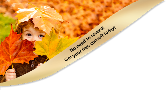 BannerTop-Fall