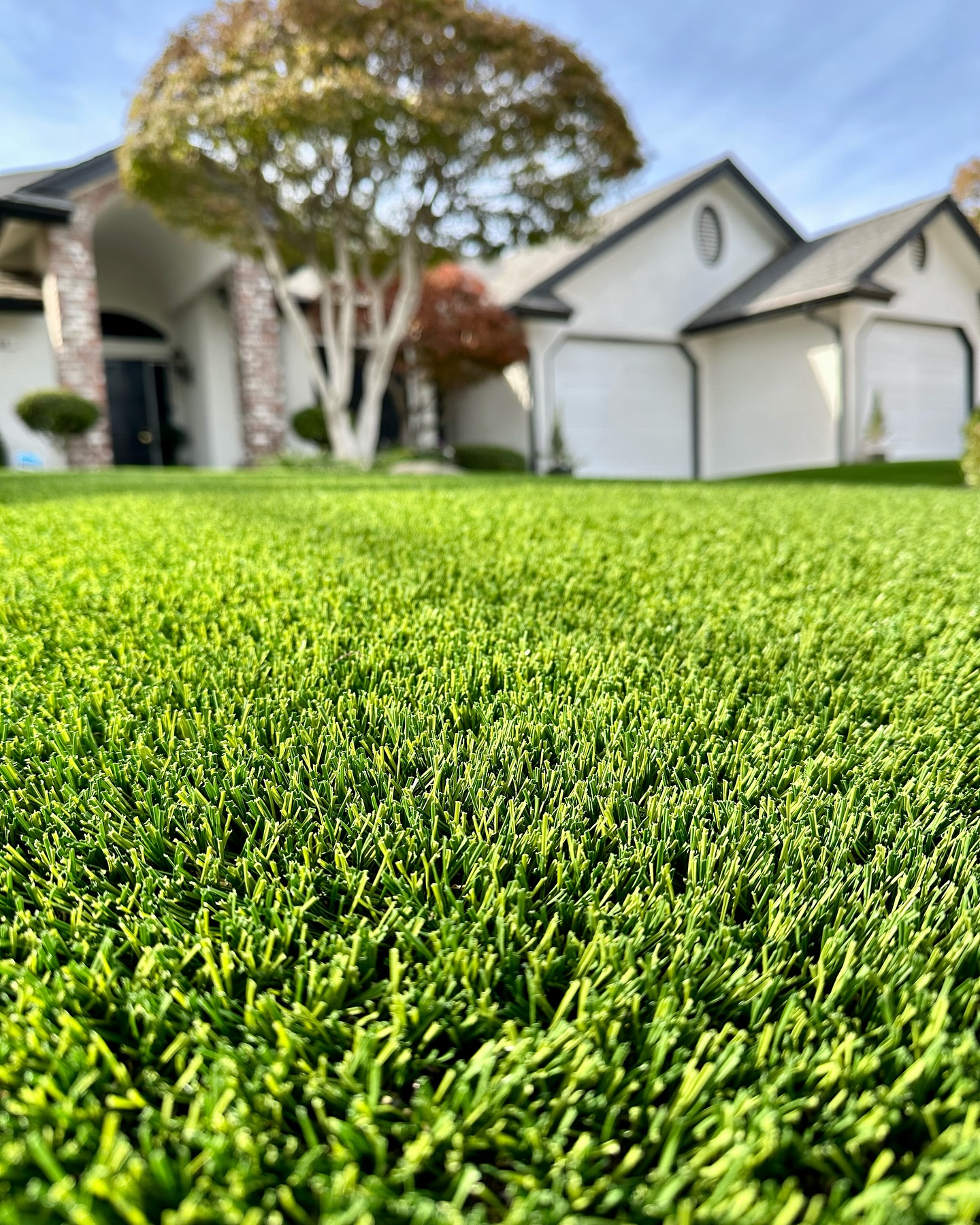 Austin artificial grass front yard installation