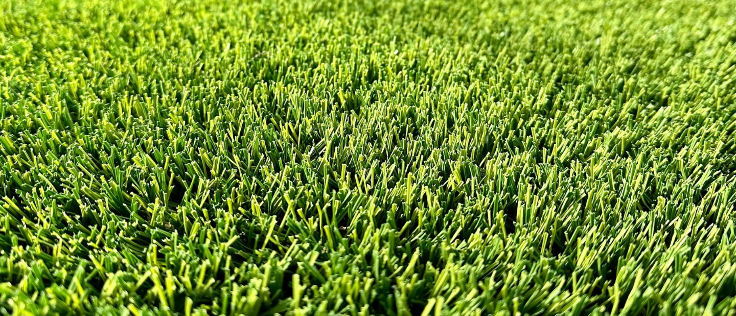 Austin artificial turf lawn